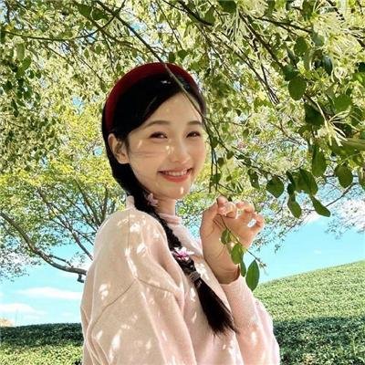 侠盗义贼